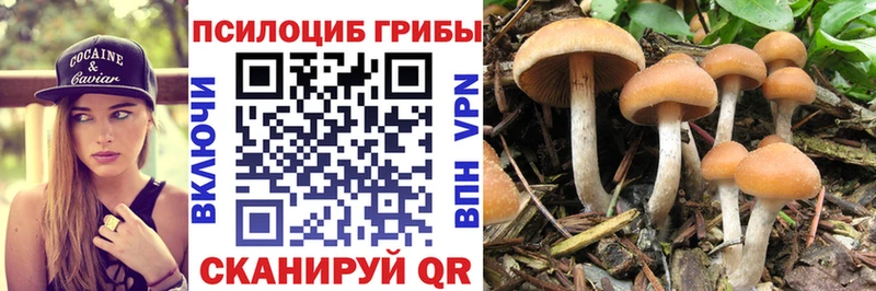 Галлюциногенные грибы MAGIC MUSHROOMS Петухово